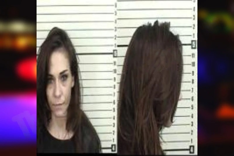 Tamara McLaughlin Mugshots