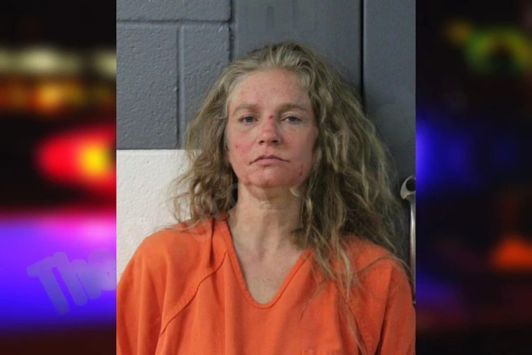 Tameka Norris mugshot – Lumpkin County , Georgia Tameka Norris