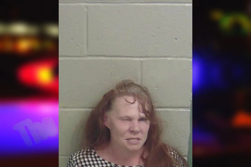 Tammie Porter Mugshots