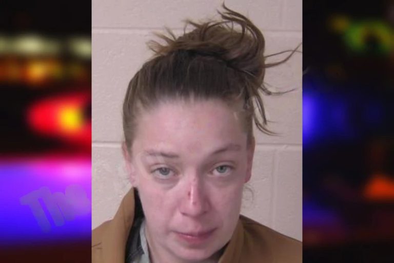 Tammy Stoker mugshot – Floyd County , Georgia Tammy Stoker