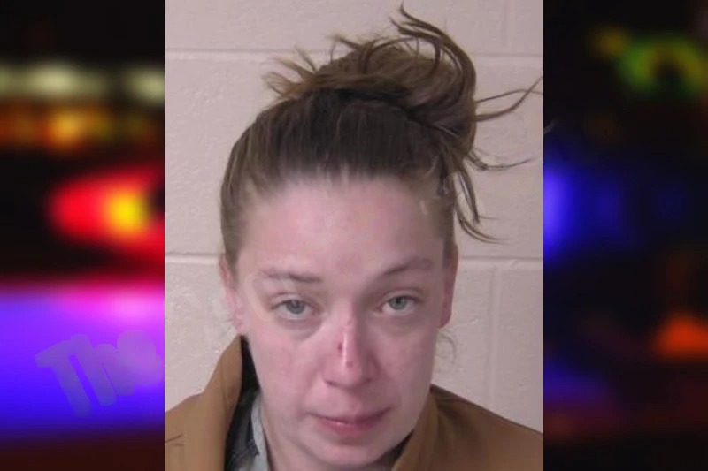 Tammy Stoker Mugshots