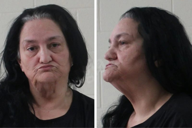 Tammy Wood Mugshots