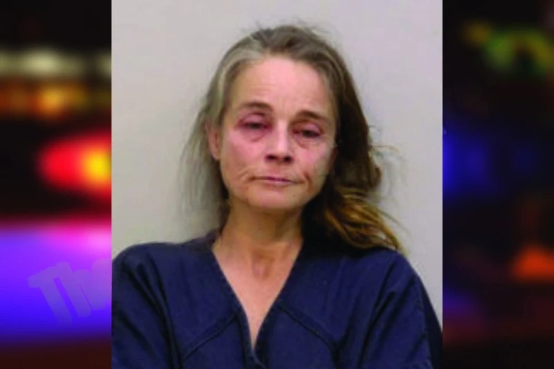 Tamzen Gregory mugshot