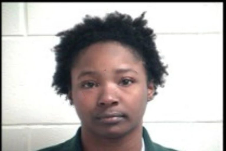 Tandra Boyce mugshot – Henry County , Georgia Tandra Boyce