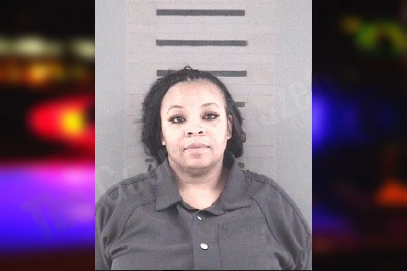 Tanita Perry mugshot