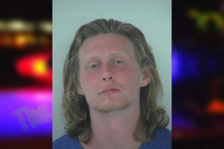 Tannor Mitchell mugshot – Fayette County , Georgia Tannor Mitchell