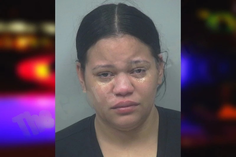 Tanny Reyes Castillo Mugshots