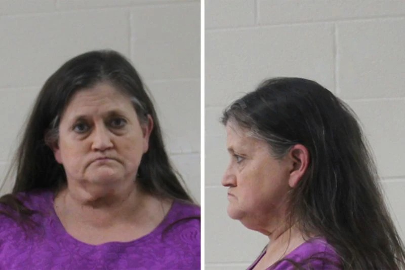 Tanya Sowash Mugshots