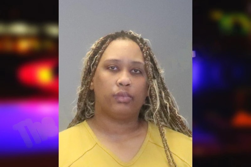 Tanzanea McNeal Mugshots