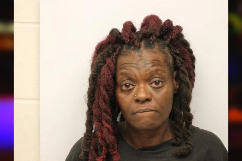 Tasha Nelson Mugshots