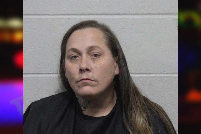 Tasha Singleton mugshot – Habersham County , Georgia Tasha Singleton mugshot