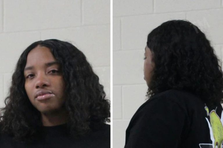 Tatiana Hamilton mugshot – Houston County , Georgia Tatiana Hamilton
