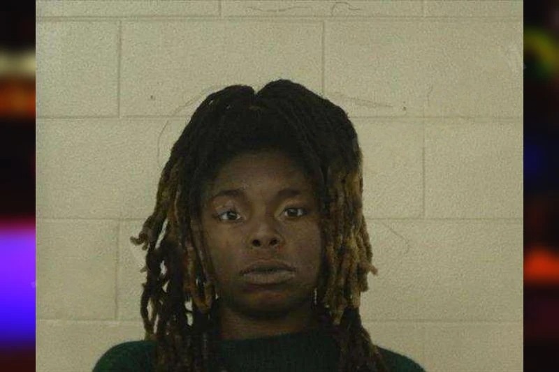 Tatiana Kent Horton mugshot – Liberty County , Georgia Tatiana Kent Horton mugshot