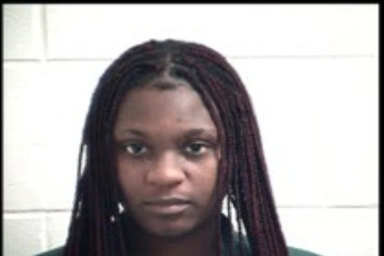 Tatiana Mason mugshot – Henry County , Georgia Tatiana Mason