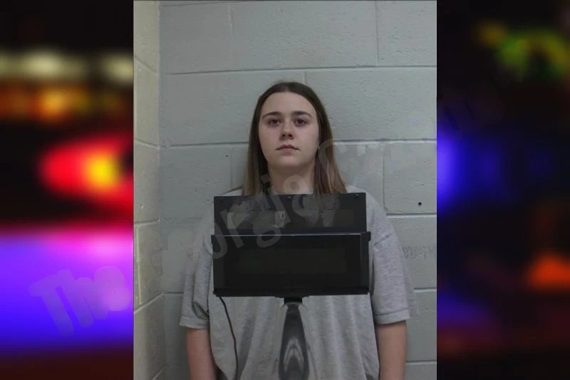 Taylor Hill Mugshots