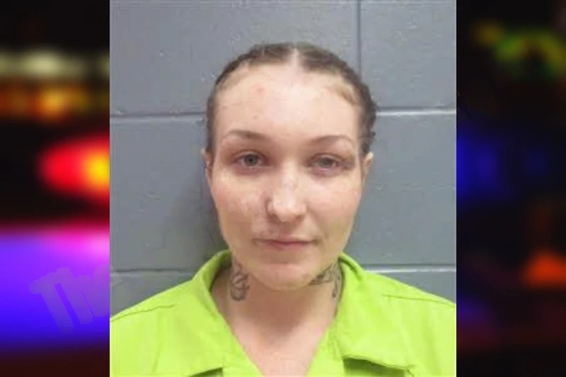 Taylor Pedigo Mugshots