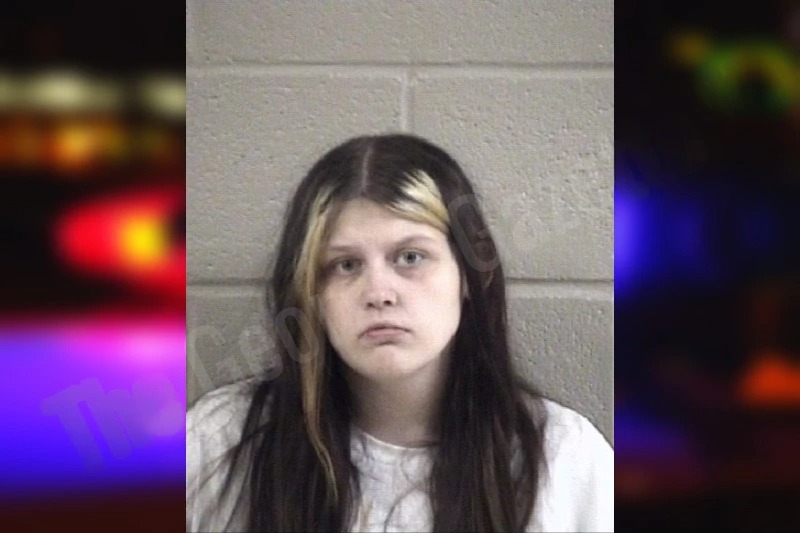 Taylor Proctor Mugshots