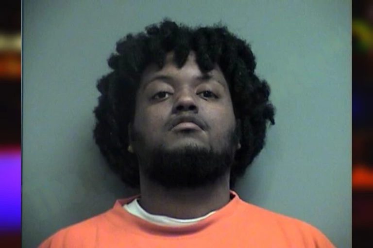 Taymel Hurst Moss mugshot – Effingham County , Georgia Taymel Hurst Moss