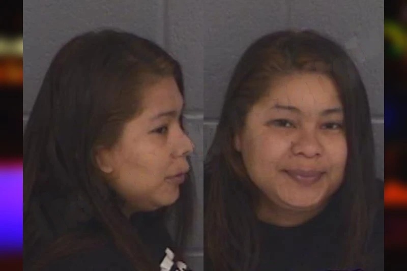 Telma Henriquez Garcia mugshot