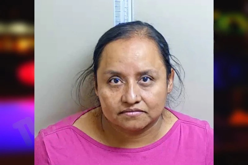 Telma Hernandez-Acosta Mugshots