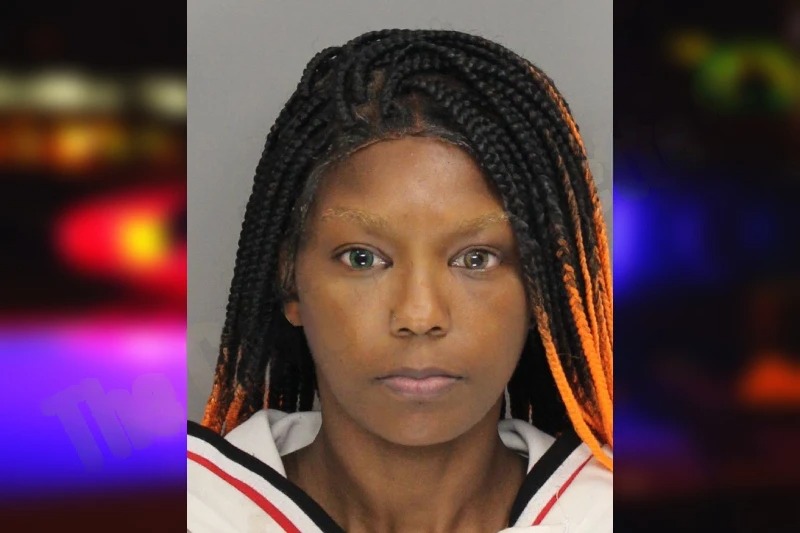 Tequilla Robbs Mugshots