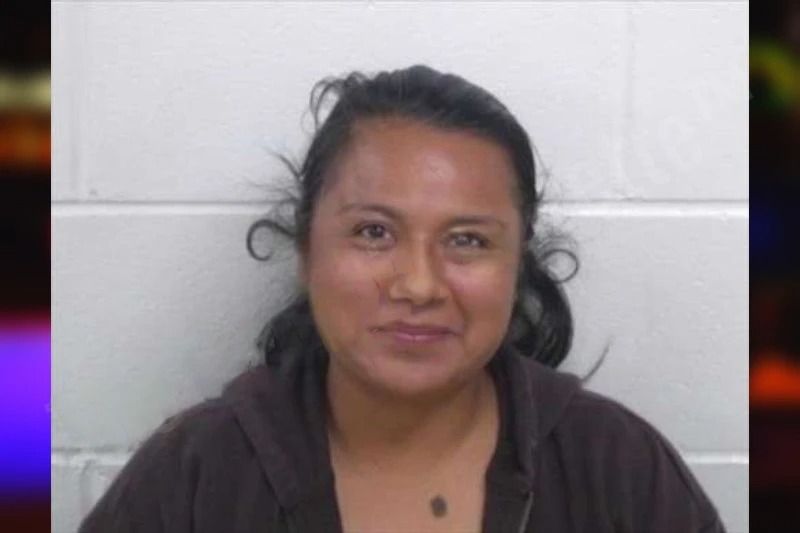 Teresa Agustin Mugshots