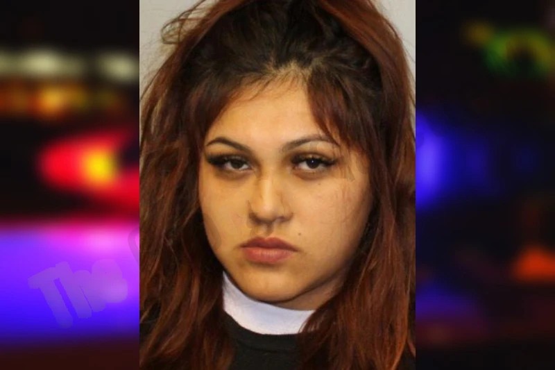 Teresa Benites Mugshots