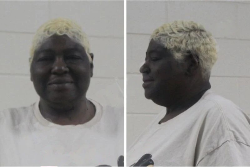 Teresa Hardison Mugshots