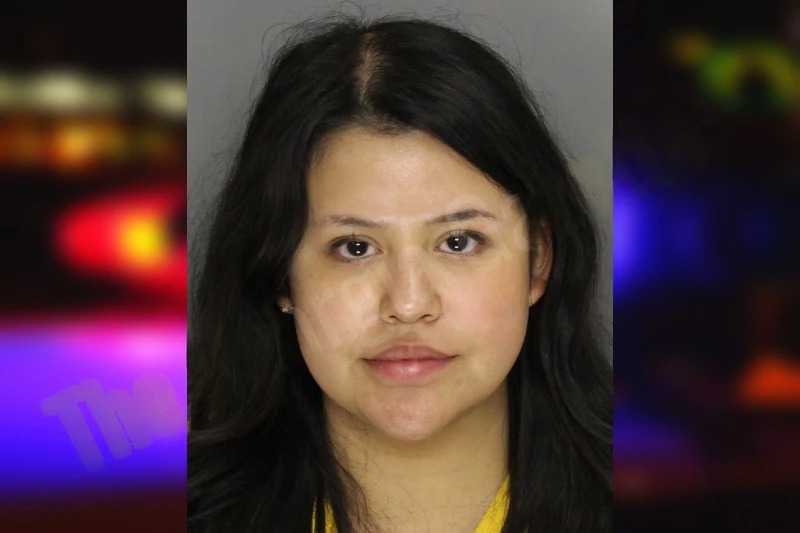 Teresa Torres Mugshots