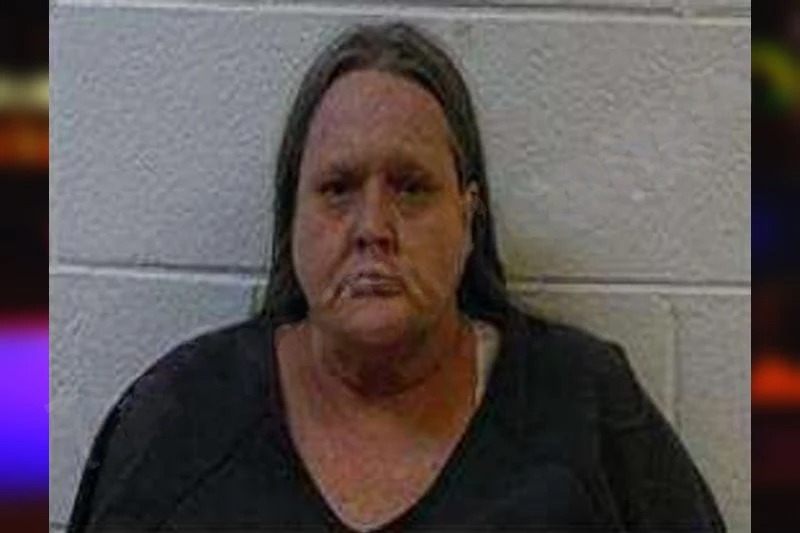 Teri Smith mugshot