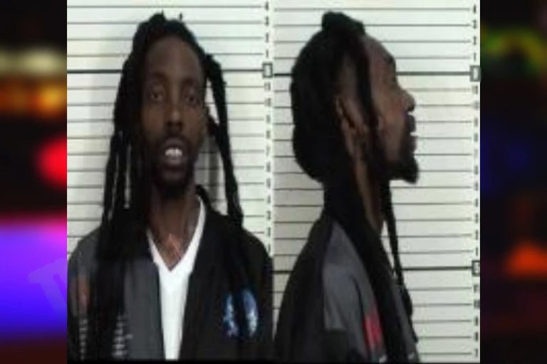 Terrell Johnson mugshot – Camden County , Georgia Terrell Johnson