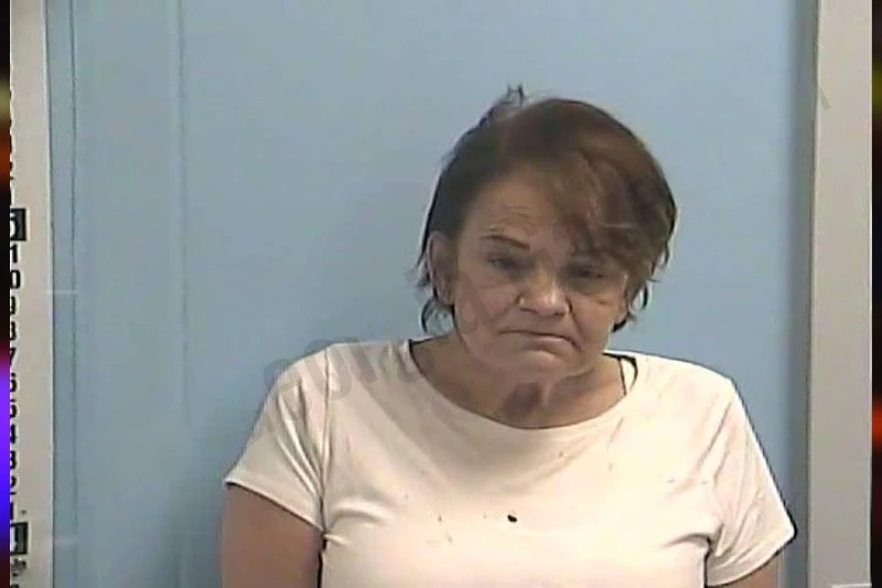 Terri Charles mugshot – Dawson County , Georgia Terri Charles mugshot