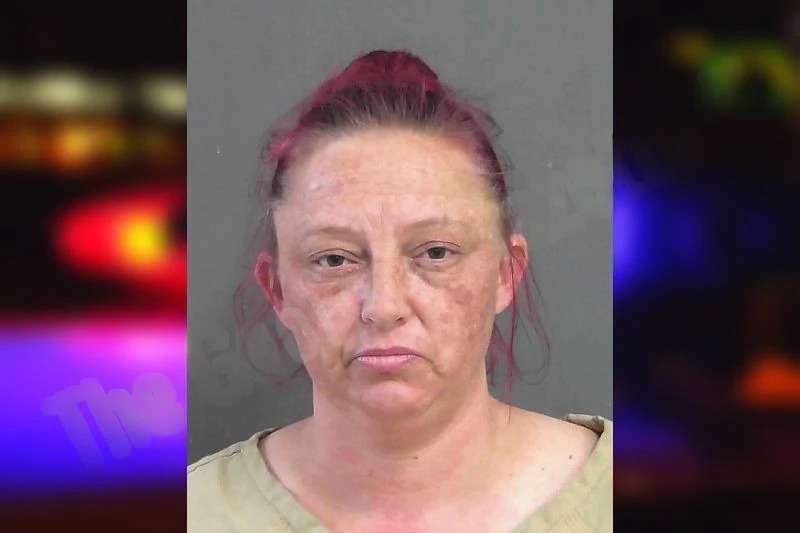 Terri Massingill Mugshots