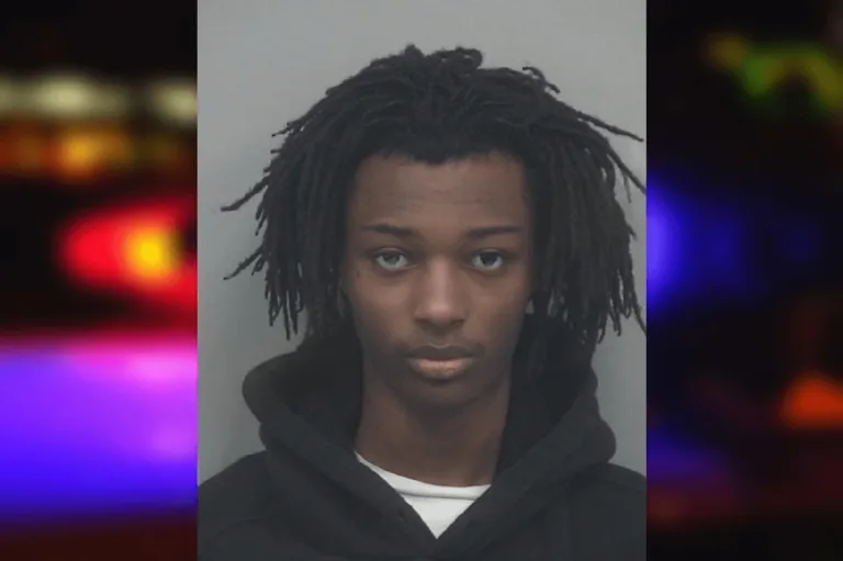 Tevion Price mugshot – Gwinnett County , Georgia Tevion Price