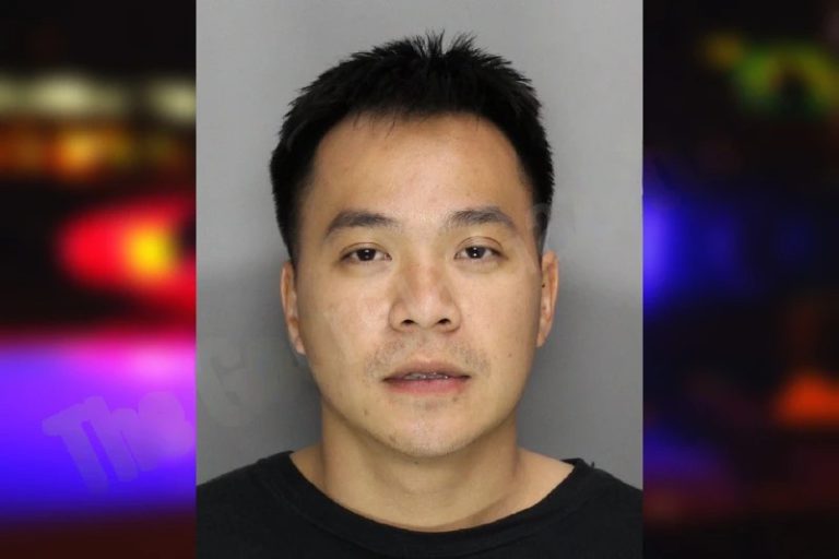 The Dinh mugshot – Cobb County , Georgia The Dinh