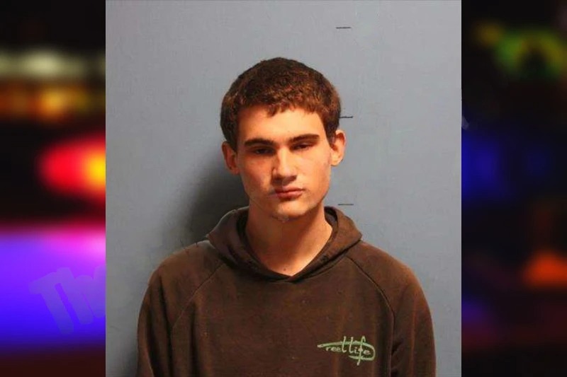 Theodore Johnson mugshot