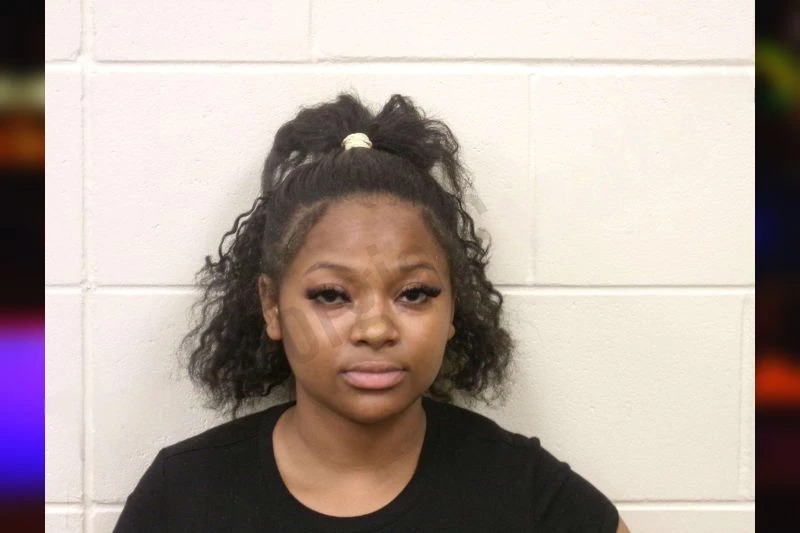 Theori Joyce Mugshots