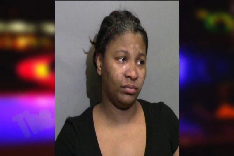 Tianna Sullivan Mugshots