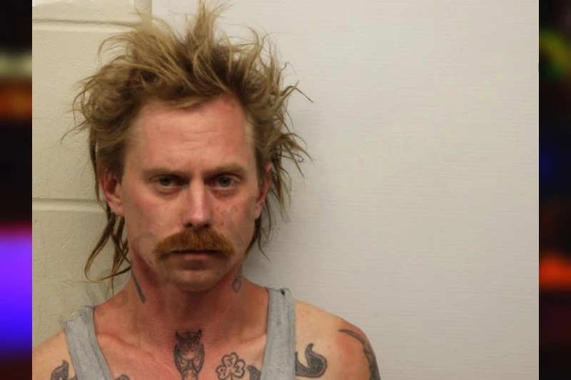 Tierney Charles mugshot – Chatham County , Georgia Tierney Charles mugshot