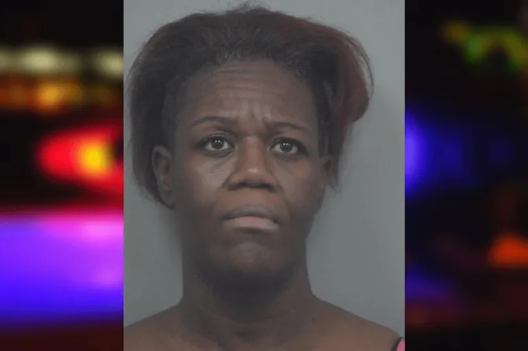 Tiffanee Strickland mugshot – Camden County , Georgia Tiffanee Strickland