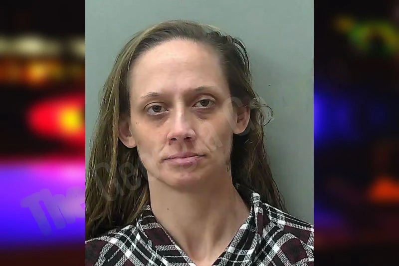 Tiffany McNabb Mugshots