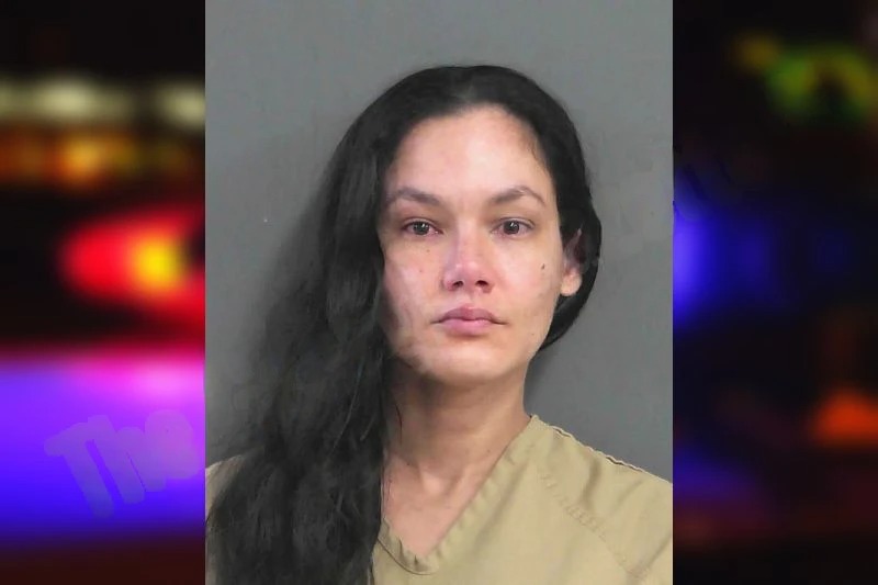 Tiffany Ortiz Mugshots