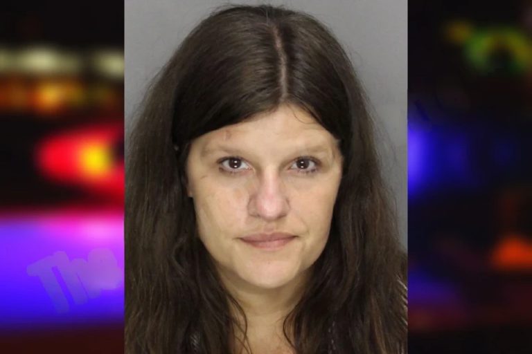 Tiffany Wheeling mugshot – Cobb County , Georgia Tiffany Wheeling