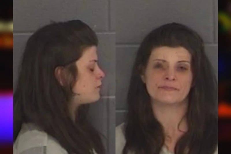 Tiffine Lord mugshot – Barrow County , Georgia Tiffine Lord mugshot