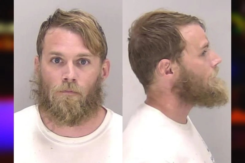 Timothy Curry Mugshots