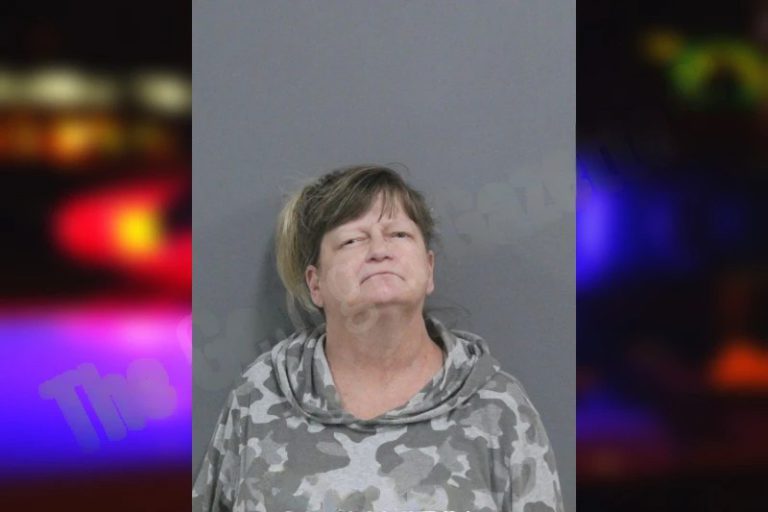 Tina Brown mugshot – Catoosa County , Georgia Tina Brown