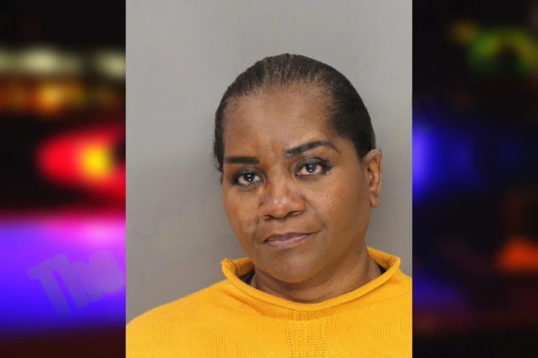 Tomasina Minor mugshot – Dougherty County , Georgia Tomasina Minor