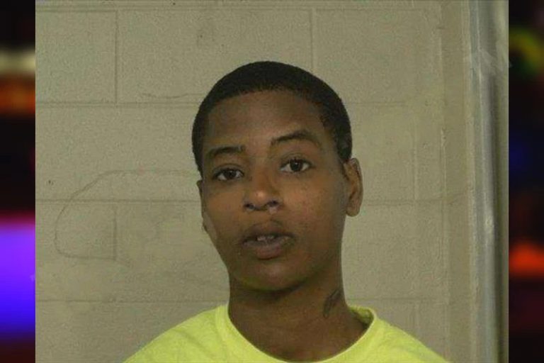 Toneia Gardner mugshot – Liberty County , Georgia Toneia Gardner