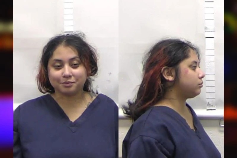 Tonya Ayala Mugshots