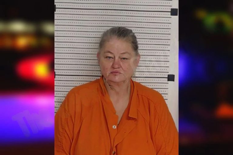 Tonya Braswell mugshot – Rockdale County , Georgia Tonya Braswell